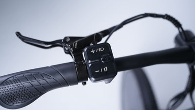 LCD Display