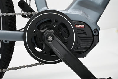 Electric Motor